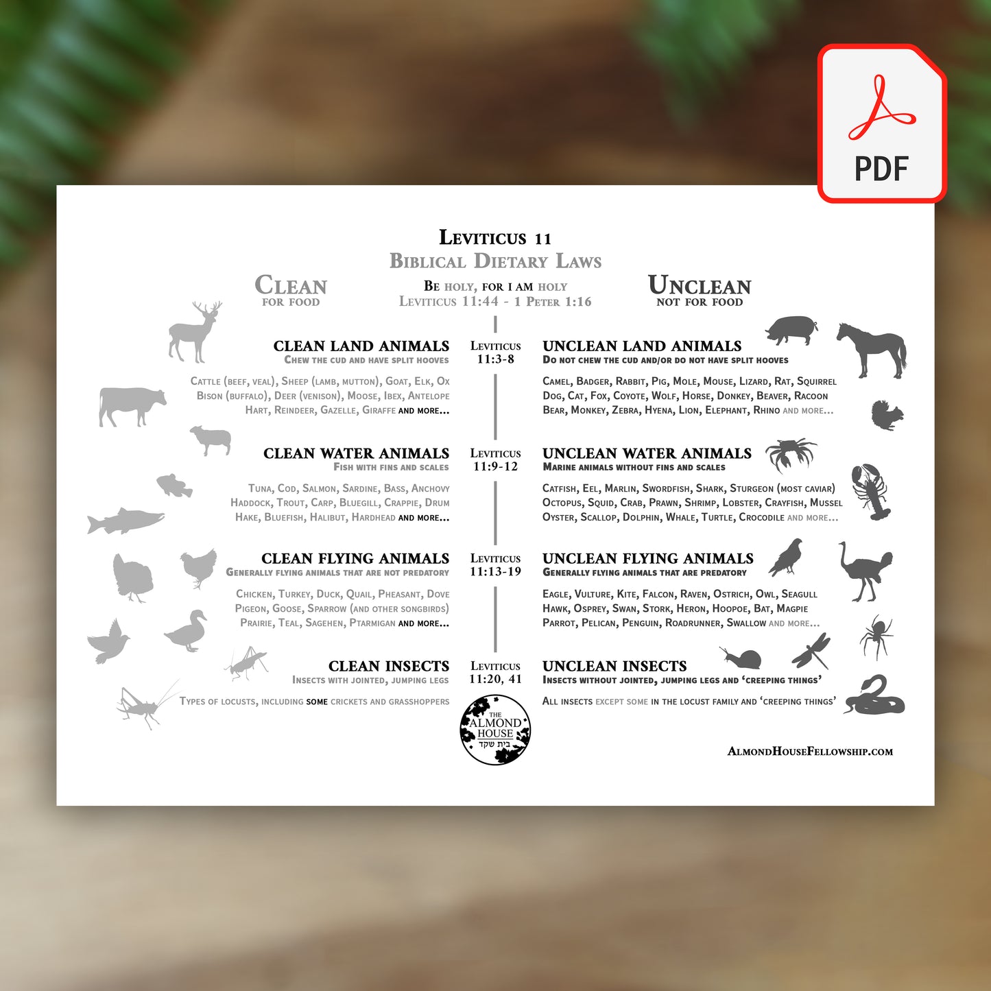 Biblical Dietary Laws - Leviticus 11 - PDF