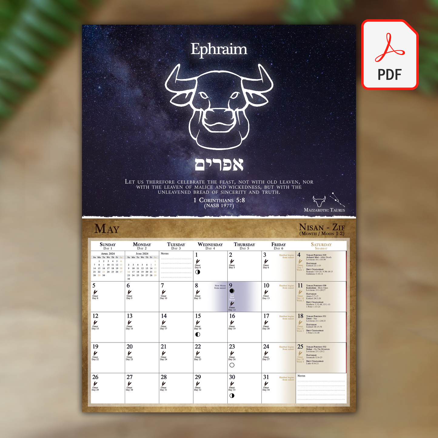 (Digital Version) Biblical Calendar from April 2025 to March 2026 | YHVH's Feast Days, New Moon Dates, Shabbat Torah Portion Schedule, Mazzaroth