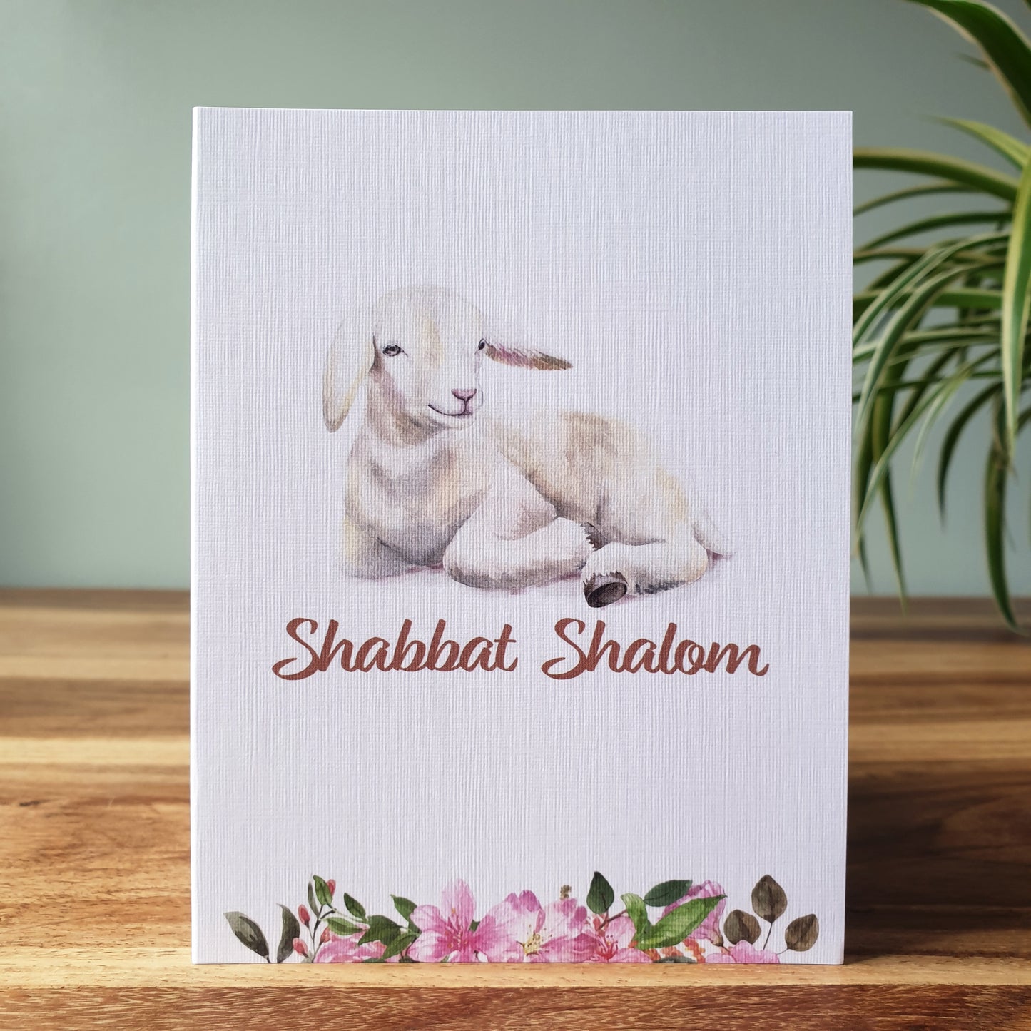 Greeting Cards | Shabbat Shalom 5 Pack, Unique Variations to Proclaim the Sabbath | FREE DELIVERY