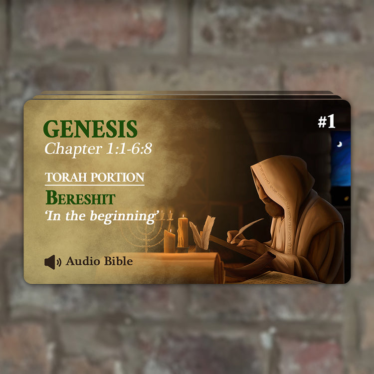 Weekly Torah Portion